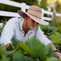 - Gardener Lattice