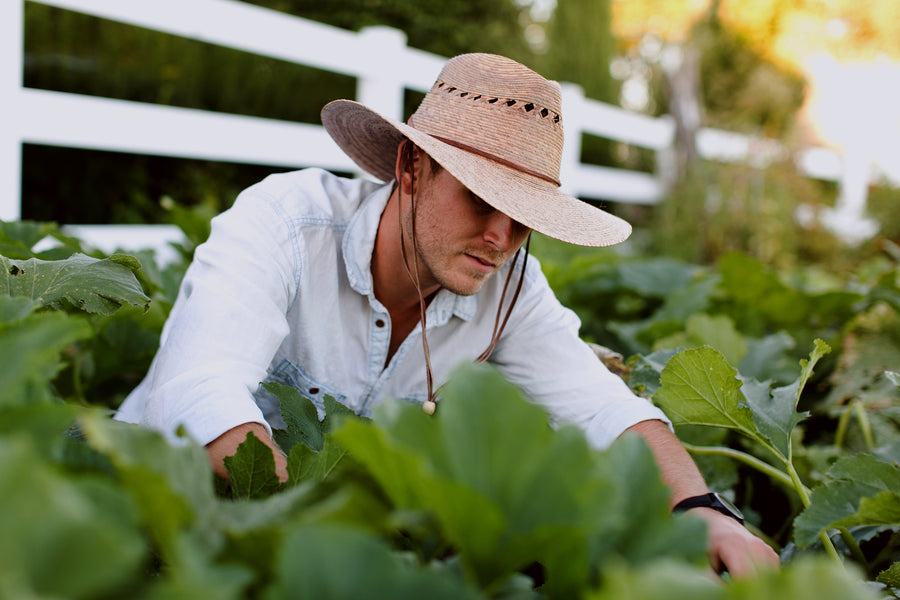 - Gardener Lattice